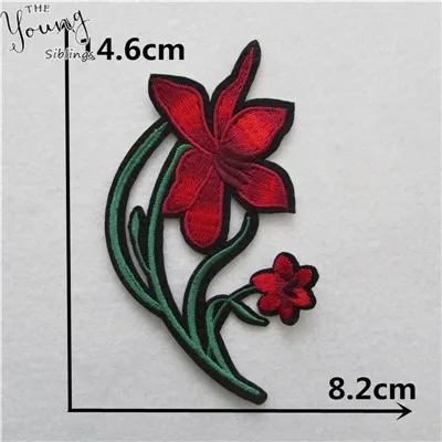 C5632 (3) - 
