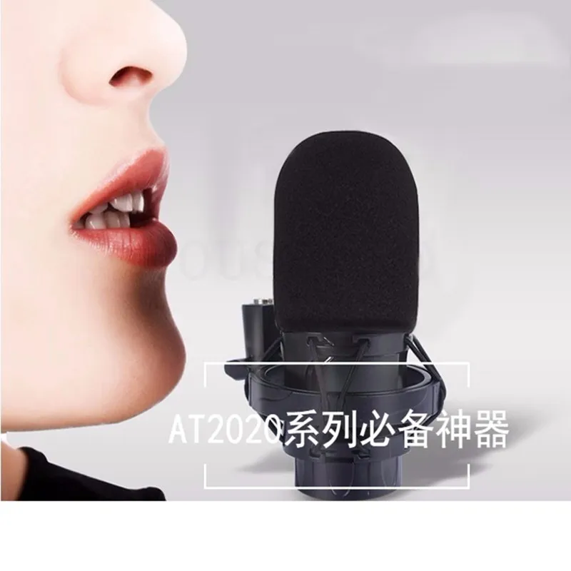 Filtres Anti-pop Pour Microphone Audio-Technica AT2035 - 2 Pièces - Mousse Haute Densité