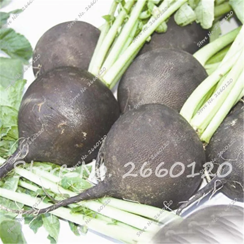 какие овощи черные. хопи - чёрная кукуруза. какие овощи черные. какие овощи черные. редька черная.