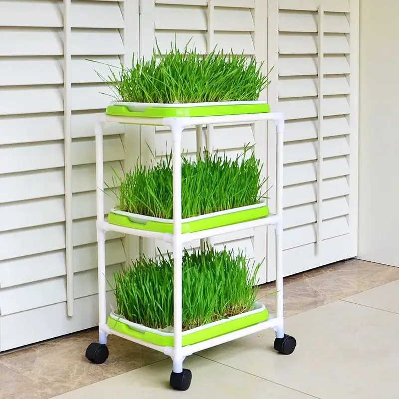 

Special Planting pan/Pots Balcony vegetables plastic hot sale Seedling tray sprout plate nursery pots tray box bonsai 3layer