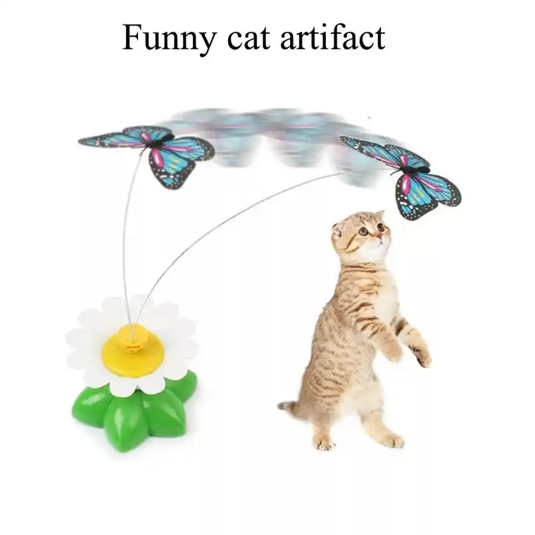 hummingbird cat toy