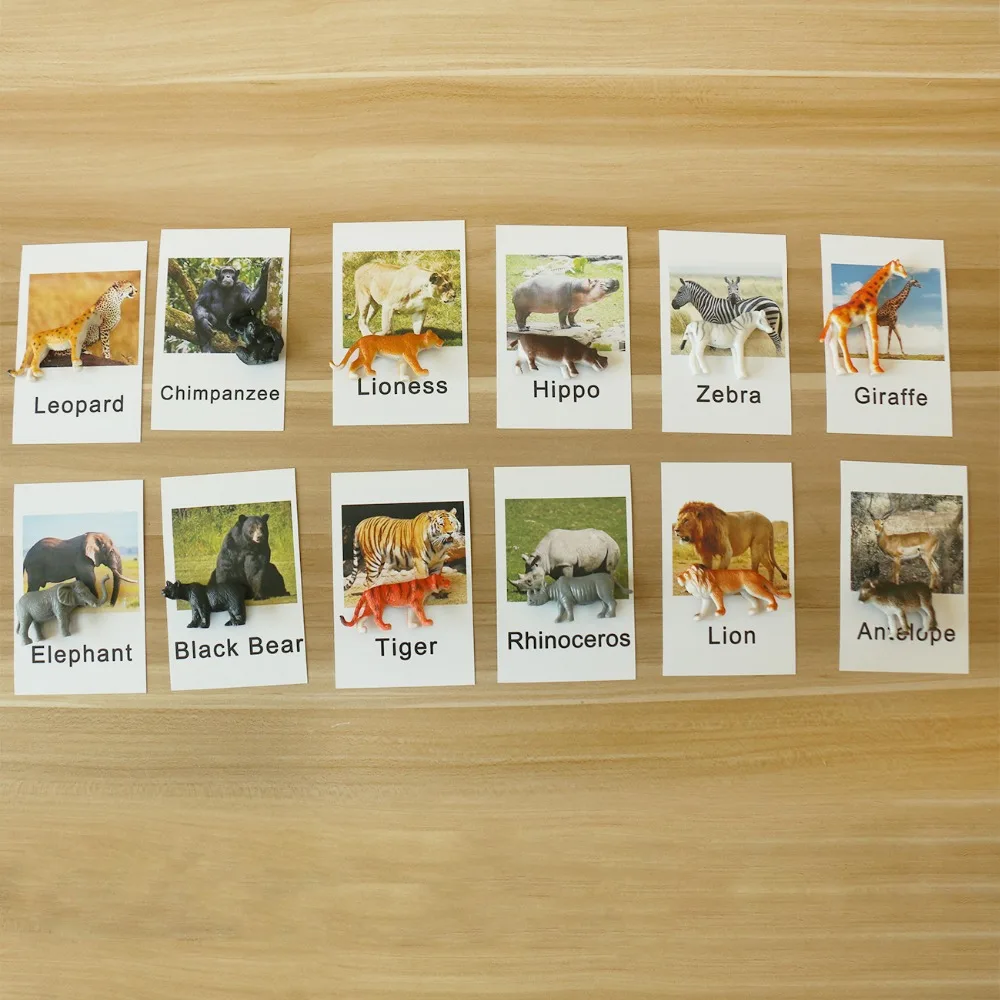 

Montessori Animal Cards Language Materials Upper and Lower Case Letters Educational Learning Toys for Toddlers MI3064H
