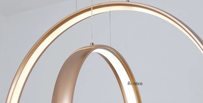 Nordic Creative LED Pendant Lights Lamp Minimalist Aluminum Double Ring LED Hanging Lighting For Dining Room Bar Cafe (16)