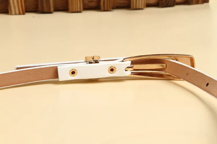 WF-Belt-0049-1