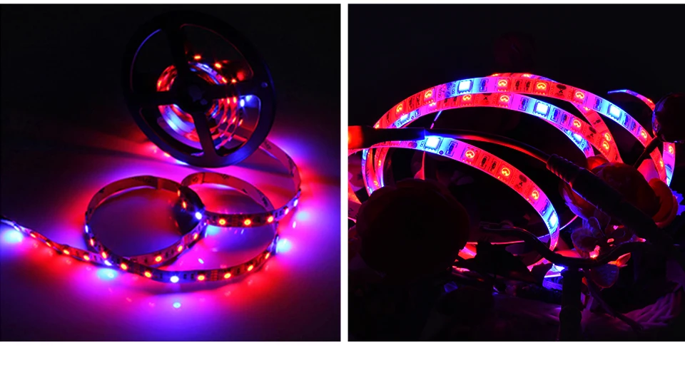 LED Grow Light Strip Tape Set DC12V Phytolamp Touch Switch Fitolamp (10)
