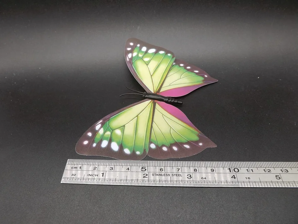 I238-Butterfly (10)