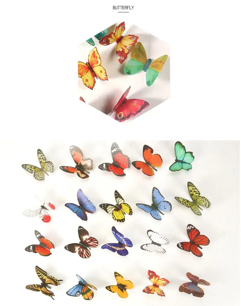 9509552892_1602292062