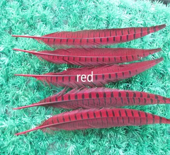 

Wholesale 100 pcs beautiful red Pheasant Feather 14-16 inches 35-40 cm free shipping