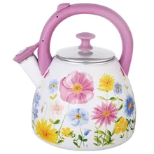 Чайник Чудесница ЭЧ-3005(Объем 3 л, нержавеющая сталь, подходит для всех типов плит