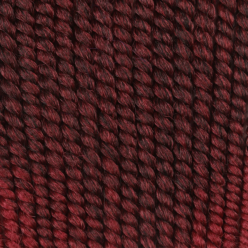 1b bug-2