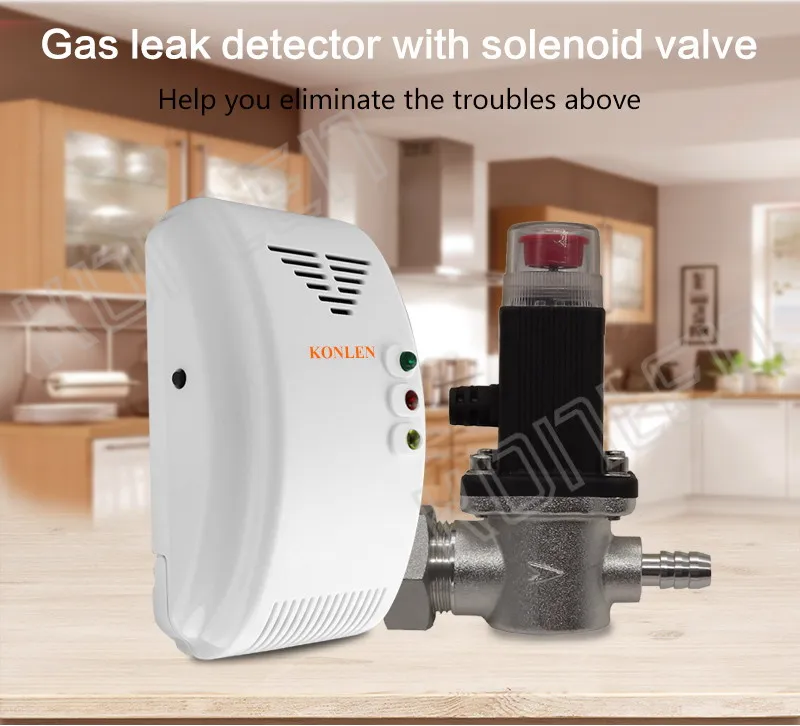 Gas detector with cylinder Solenoid valve 03