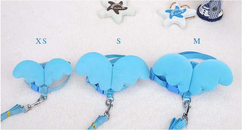 SYDZSW Nylon Pet Leash Cute Angel Wing Small Dog Lead Cat Harness for Chihuahua Yorkshire Dogs Cats Products Pet Accessories Wholesale11