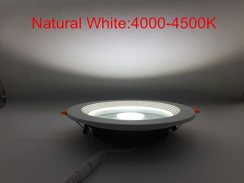 Downlight 1_