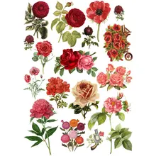Prominent Aesthetic Sticker-Order Economical Aesthetic Sticker a good deal image relating to Aesthetic Stickers Printable called Well known Aesthetic Sticker-Acquire Inexpensive Aesthetic Sticker a lot