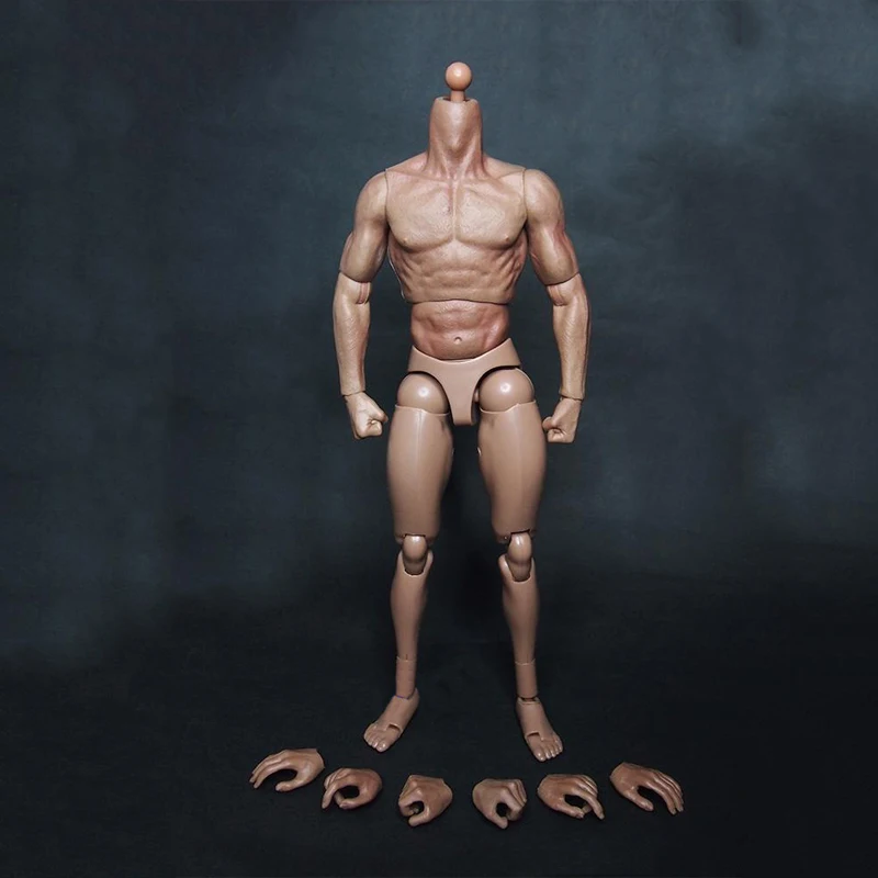 

male body figures 1/6 scale action model Muscular Military Soldiers Movable 12" anime toy figrue