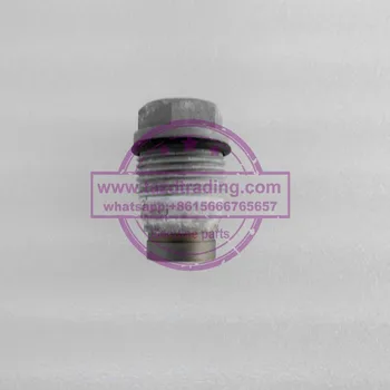 

100% Original and New Pressure Relief Valve 1110010017