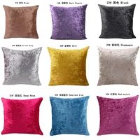 Ice Silver Velvet Pillow Solid Colorr Luxury Pillowcase Cushion Home Decor For Living Room Sofa Custom Throw Pillow 40/45/50/60 1