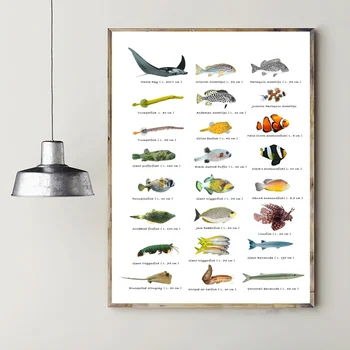 

Types of Little Fish Chart Art Canvas Poster Prints Home Wall Decor Painting 20x30 Inches
