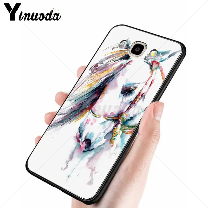 horse animal