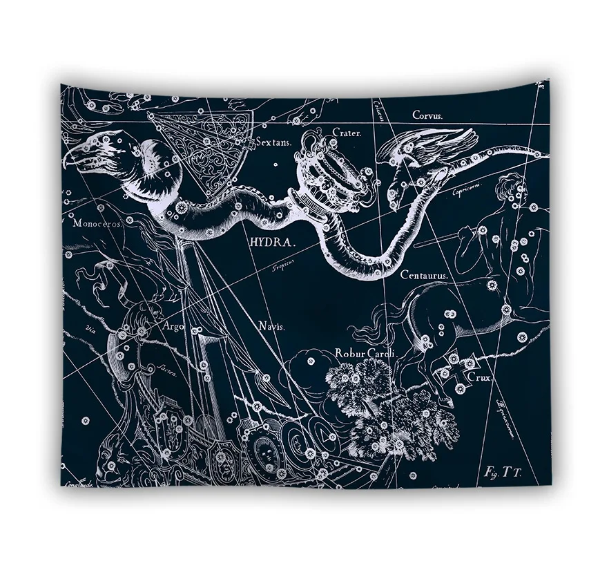 9568198001_132224802