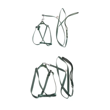 

Pet Parrot Bird Leash Outdoor Adjustable Harness Training Rope Anti Bite Flying Band