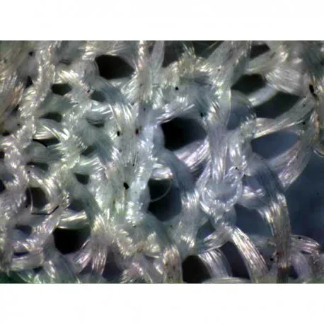 Pic-microscope-3