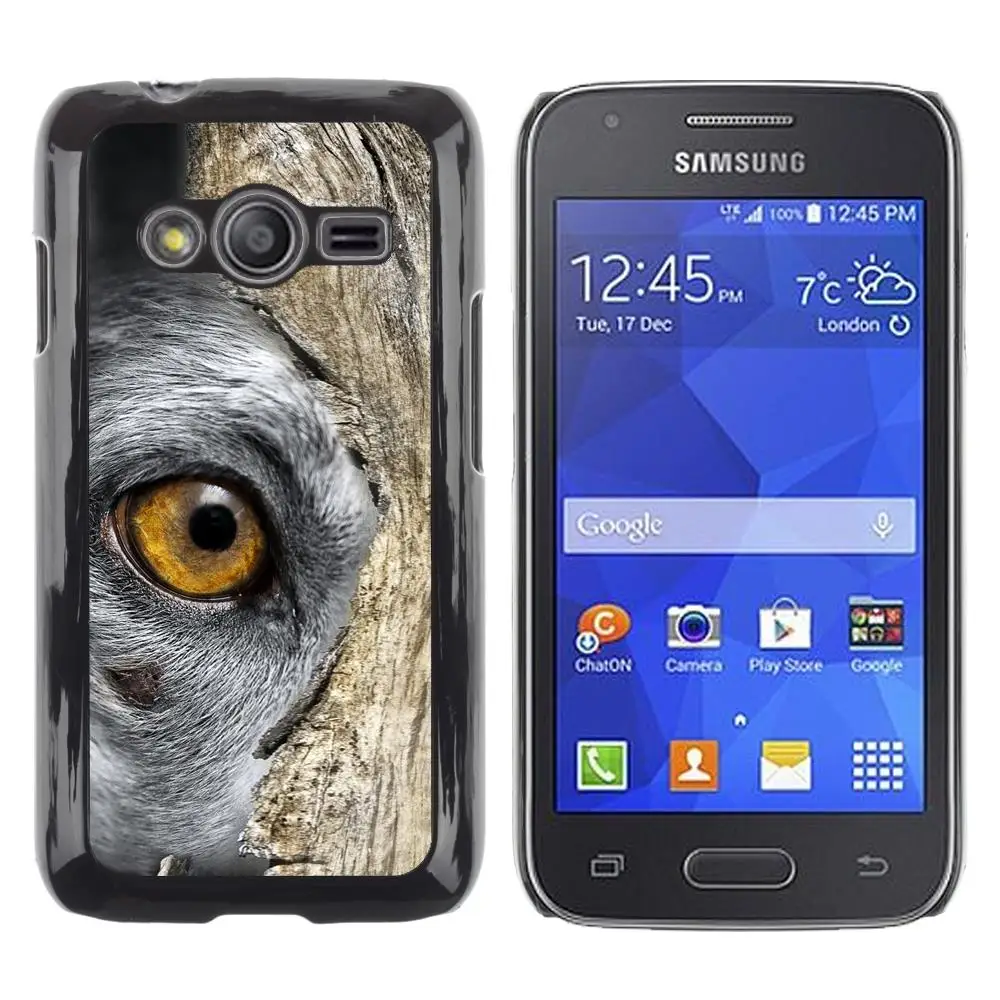 Snap On Hard PC Back Shell Case For Samsung Galaxy Ace 4 G313 SM-G313F-Russian Blue British Shorthair Chartreux(ACE4-3005232) |