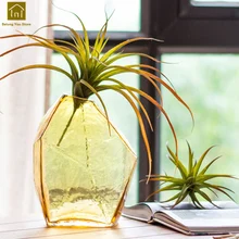 Креативная стеклянная ваза прозрачная настольная декоративная бутылка для цветов растение для украшения дома Vasen контейнер QAB050