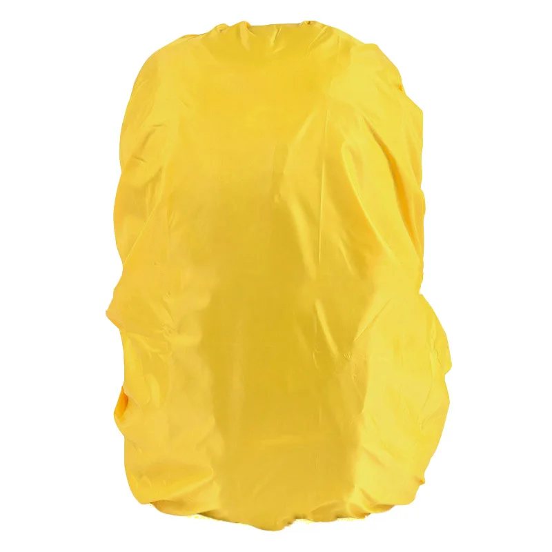 2929024459_1336653081