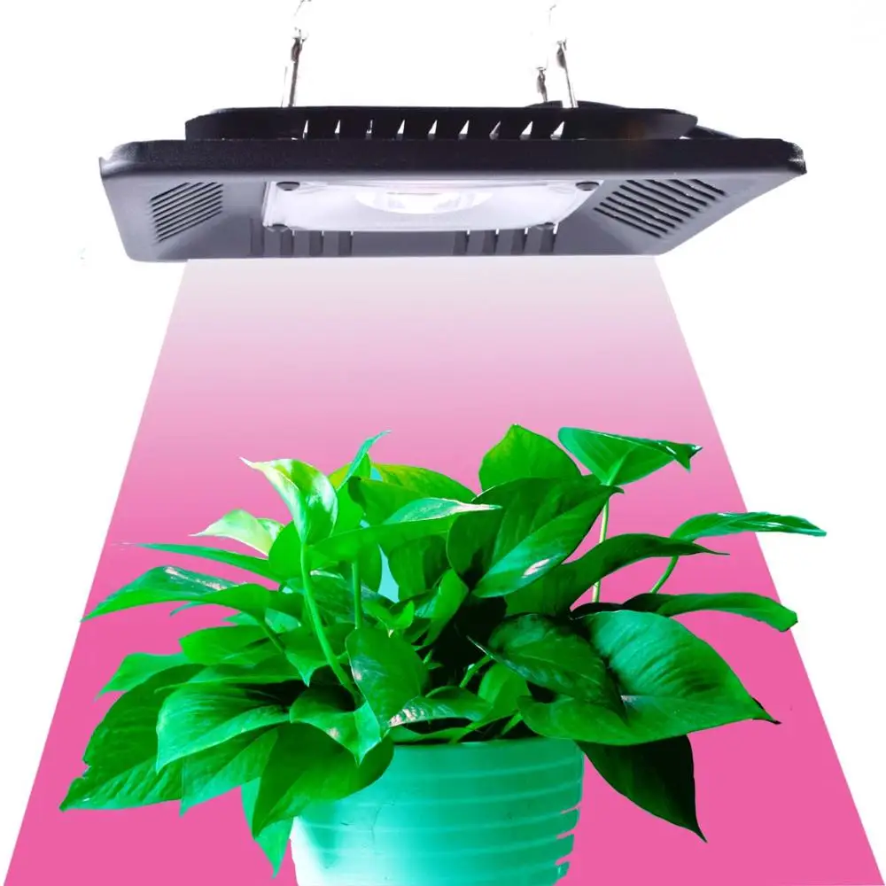 

COB Led Grow Light Full Spectrum 100W IP67 for Vegetable Flower Indoor Hydroponic Greenhouse Plant Lamp included driver&switch