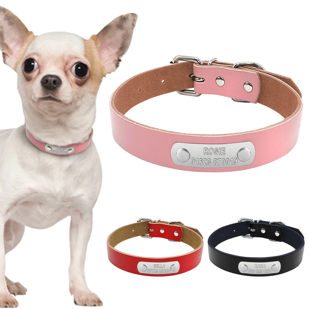 Dog Collar With Phone Number Dog Collar With Phone Number