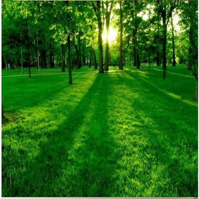 beibehang Natural Scenery forest green waterproof light nonwoven 3d
