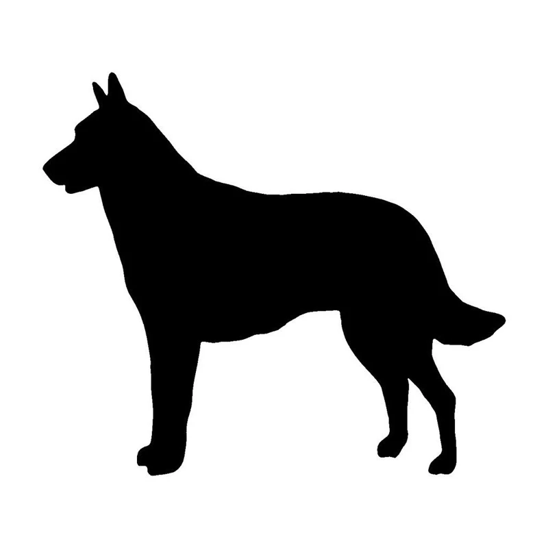 belgian malinois accessories