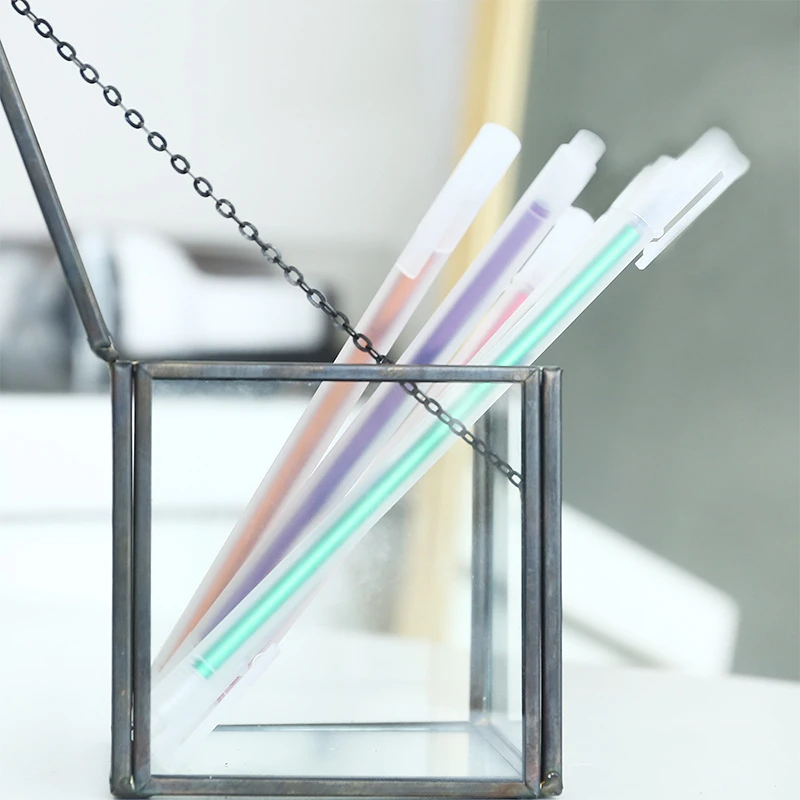 

DL South Korea stationery Muji minimalist style transparent watercolor pen pen 0.5mm account Stationery for office supplies