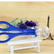 Захватывающая/подвижная способность, развивающая животное, рептилия, многоцелевой зажим для сбора насекомых, пинцет для удаления червя, ящерица, насекомые