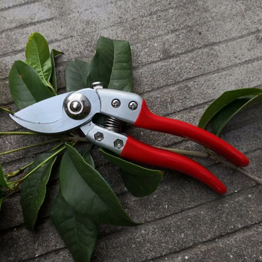 High hardness Professional Garden scissors flower twig clipers Bent