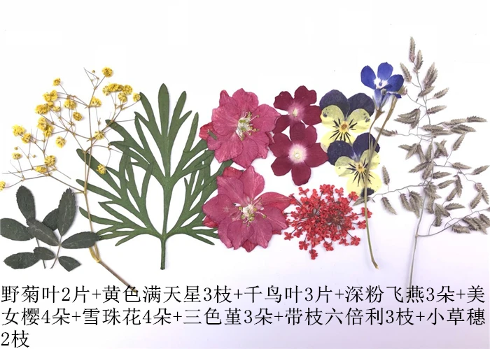 Микс сушеных прессованных цветов+ листья растений гербарий для ювелирных открыток фоторамка чехол для телефона DIY 12 видов конструкций выбор