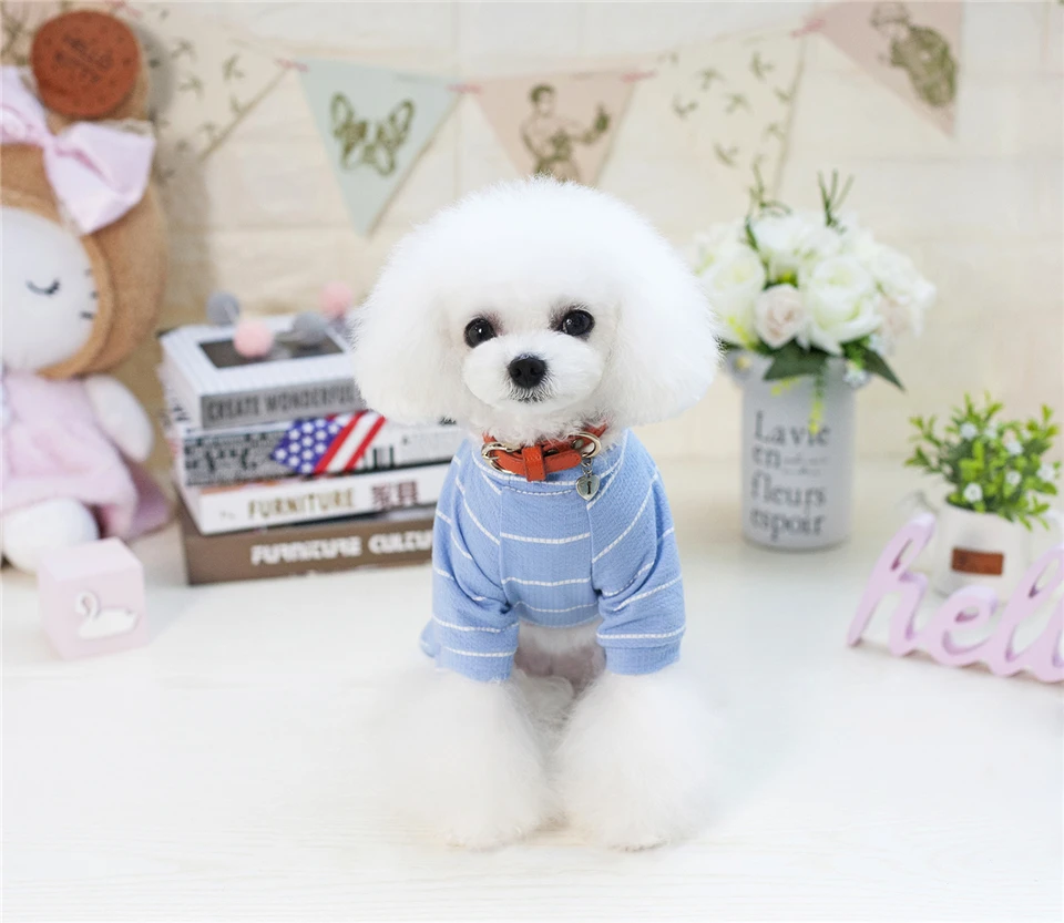 Spring Summer Cotton Dog Clothes Striped Clothing for Dogs Printed Lion Chihuahua Tracksuit Pet Clothes Suit for Dogs Pets (9)