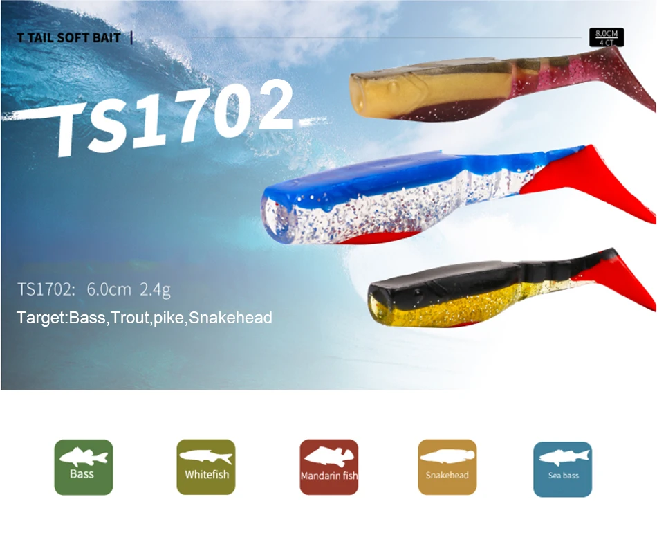 TS1702_01