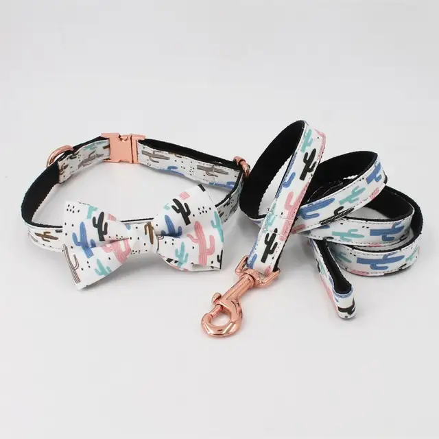 collar-bow-leash