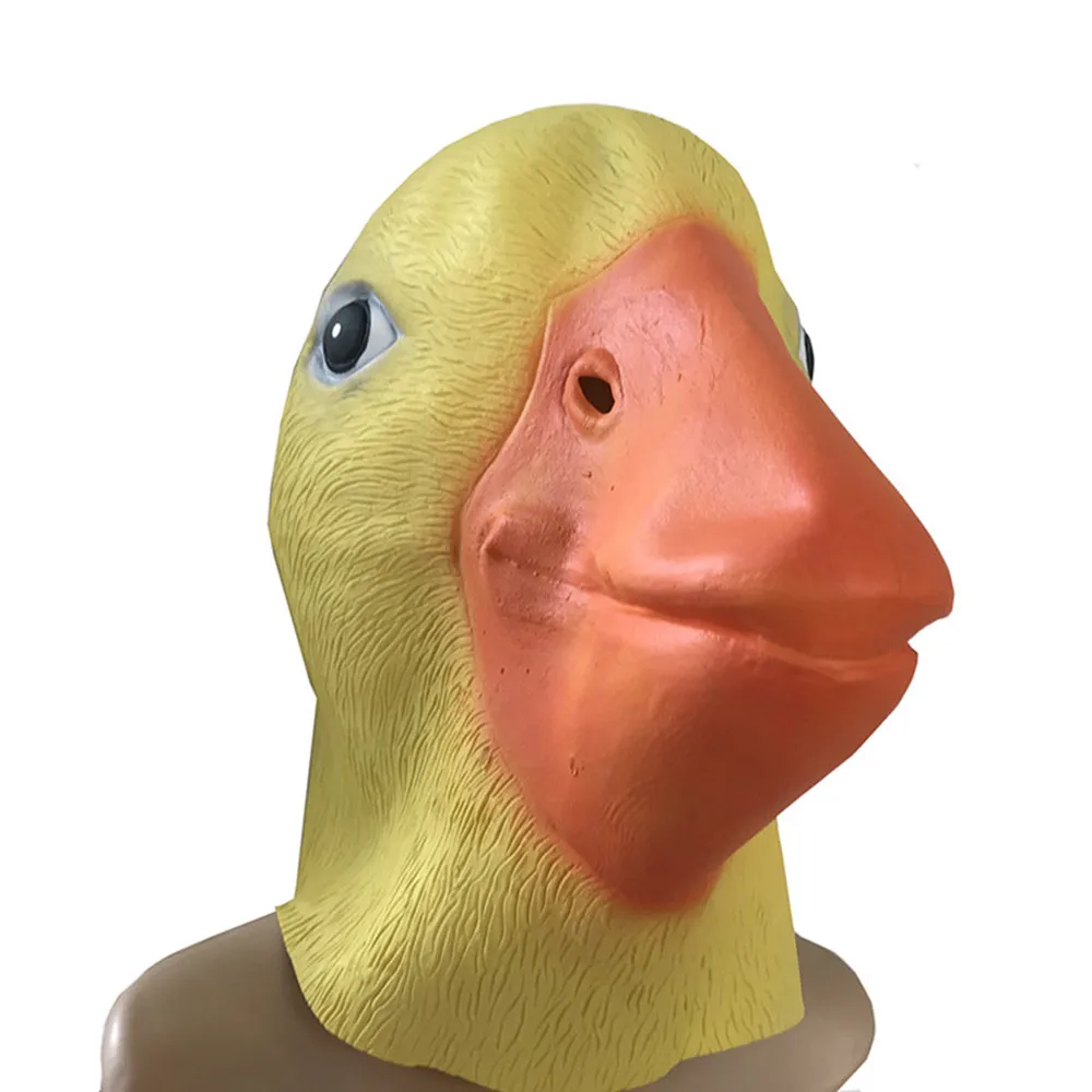 HTB1Zxq8JeSSBuNjy0Flq6zBpVXaI