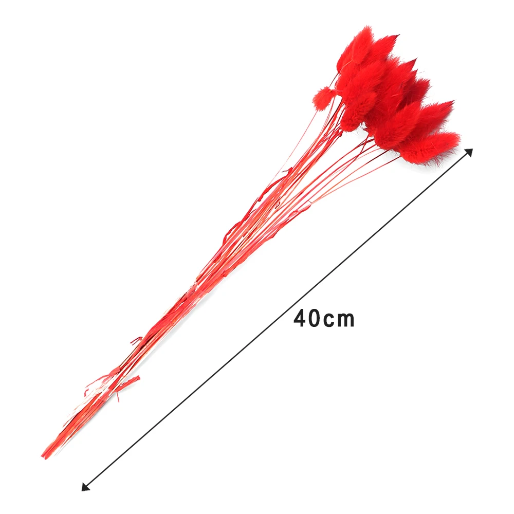 Новинка, 20 шт., кролик, хвост, трава, Натуральные сушеные цветы, искусственные украшения, Цветочная композиция, лагурус оватус, настоящая трава, букет, реквизит