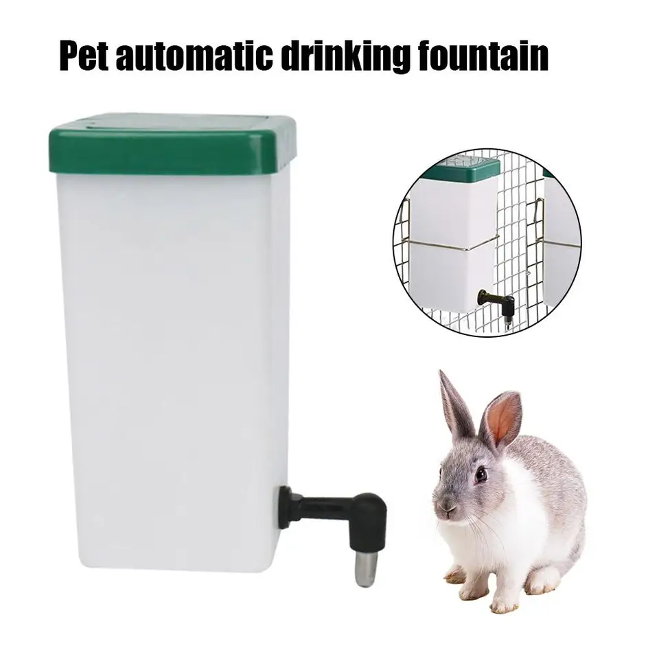 rabbit fountain