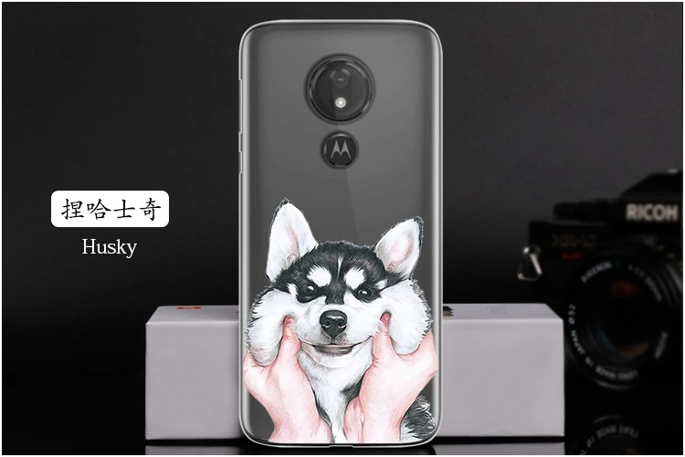  Husky
