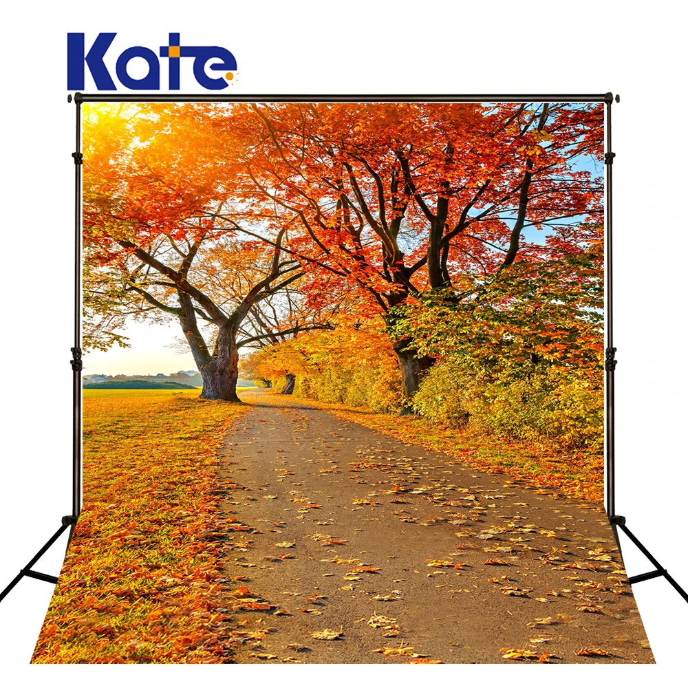 

KATE Photography Backdrop Autumn Scenery Background Maple Leaf Rural Backdrops Children Garden Background for Photo Shoot Studio