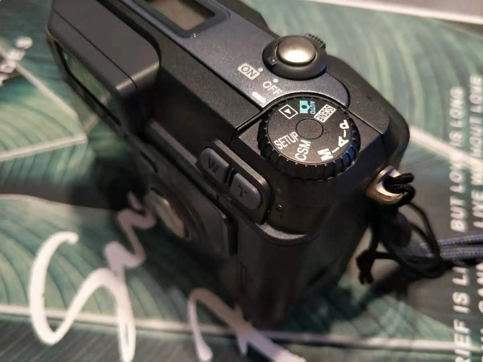 Используется камера Nikon Coolpix 880 3,34 мегапиксельная CCD 2.5x оптический зум-объектив
