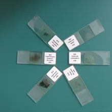 25 шт. дробильная горки установить