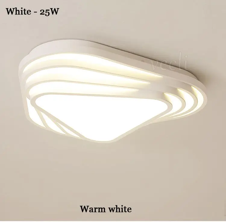 ceiling light (6)