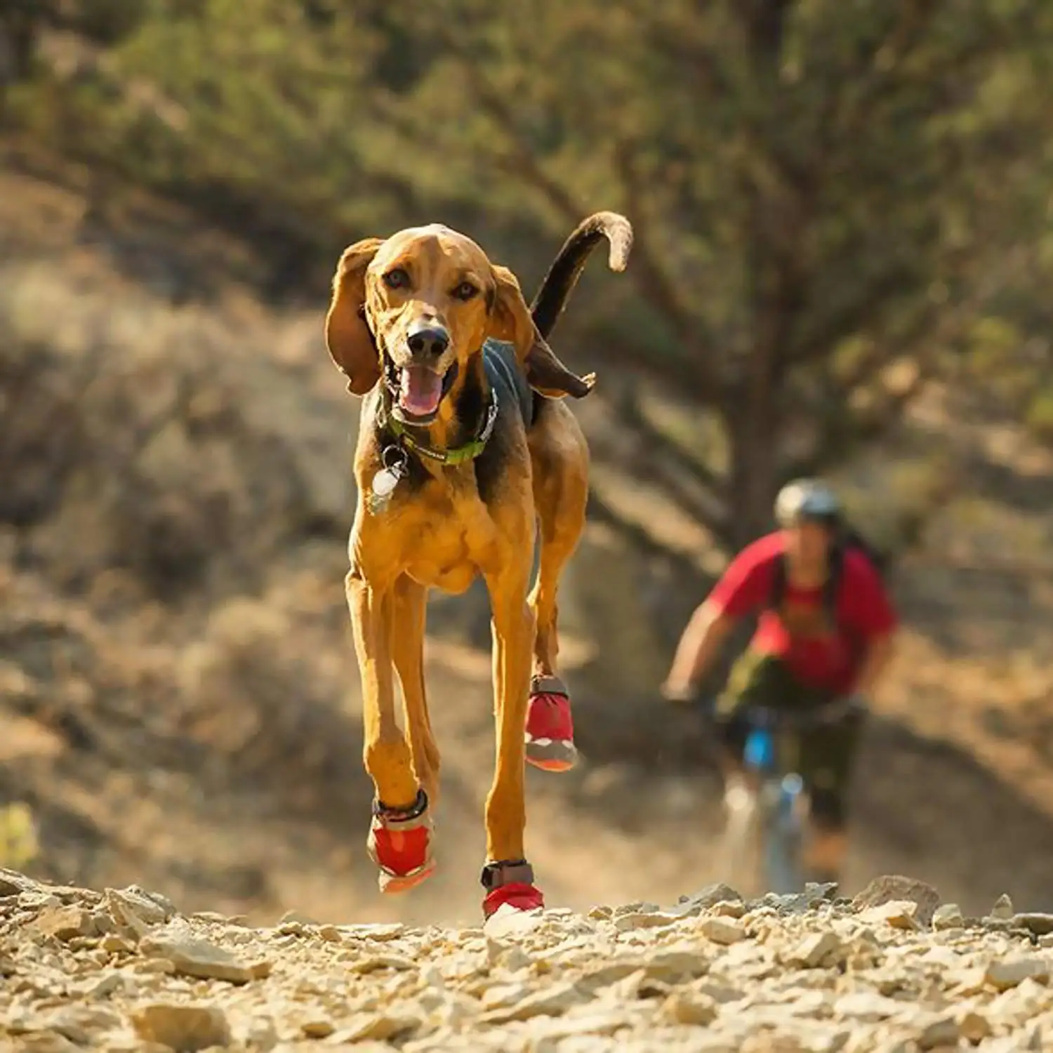 RUFFWEAR-Grip Trex, вездеходная лапа Одежда для собак