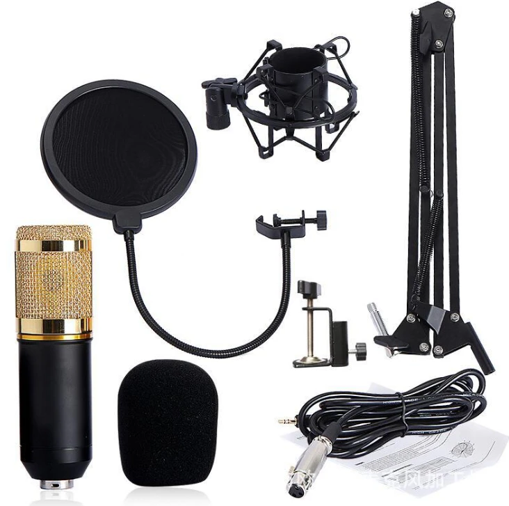 AEGEANA Professional Condenser Microphone for computer bm 800 Audio